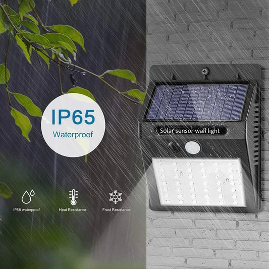 Solar-Powered Motion Sensor Light